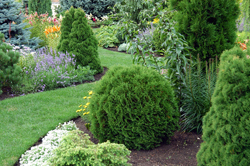 Сбалансированность и пропорции в ландшафтном дизайне